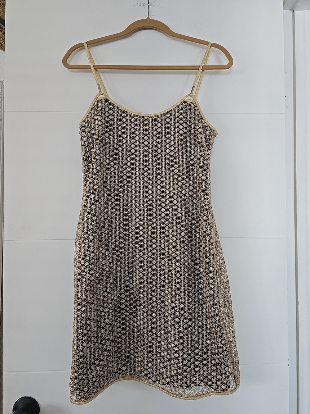 Diane von Furstenberg Gold Lace Metallic Overlay Mini Dress - Size S